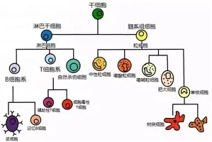 kok体育娱乐平台-重磅！广州队围绕足总杯调整名单国际比赛日纽约尼克斯调整名单以备中超，孟菲斯灰熊强势反弹备战德国杯的简单介绍